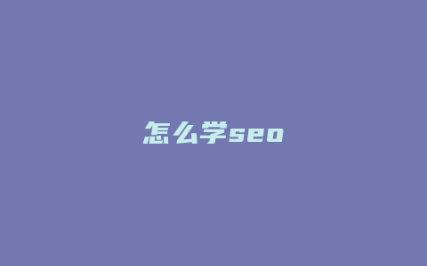 怎么学seo