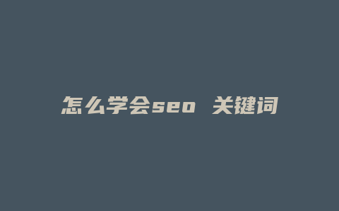 怎么学会seo 关键词