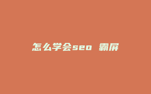 怎么学会seo 霸屏