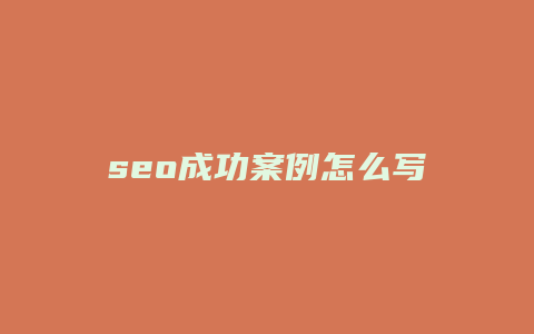 seo成功案例怎么写