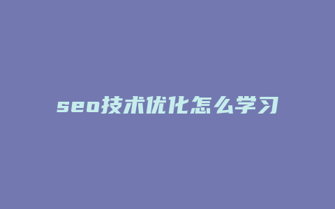 seo技术优化怎么学习