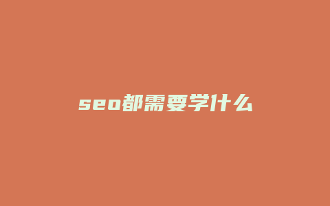 seo都需要学什么