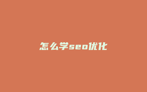 怎么学seo优化