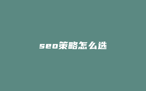 seo策略怎么选