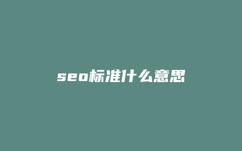 seo标准什么意思