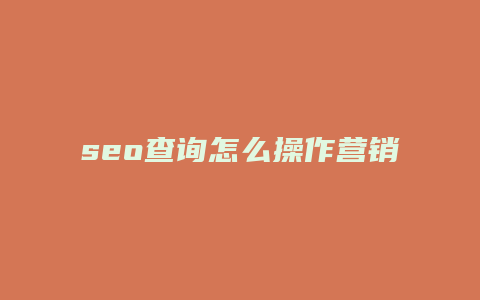 seo查询怎么操作营销