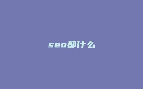 seo都什么