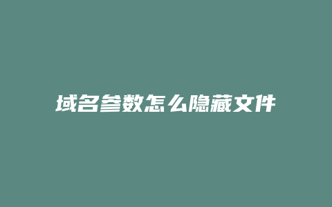 域名参数怎么隐藏文件