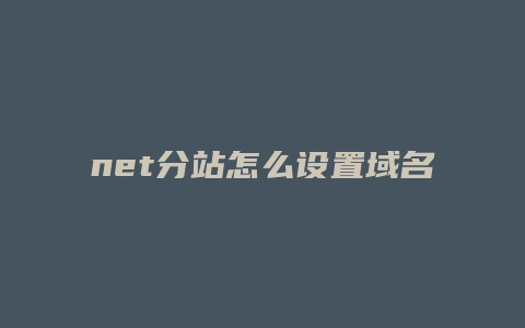 net分站怎么设置域名