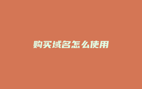 购买域名怎么使用