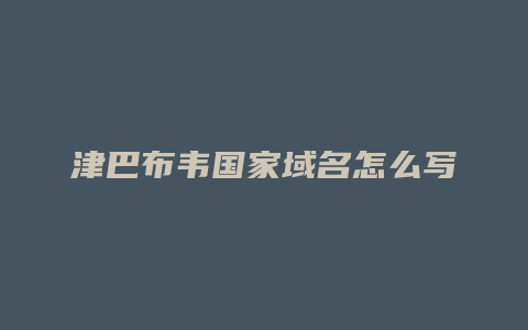 津巴布韦国家域名怎么写