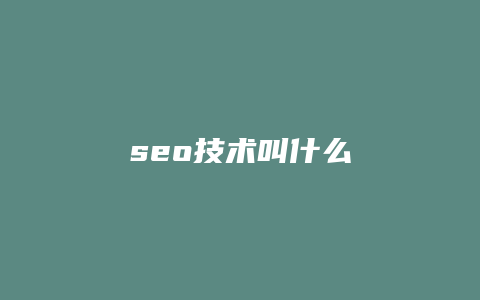 seo技术叫什么