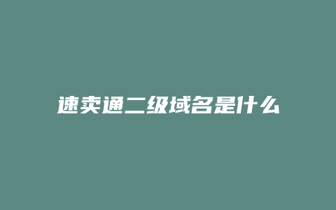 速卖通二级域名是什么