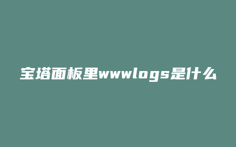 宝塔面板里wwwlogs是什么