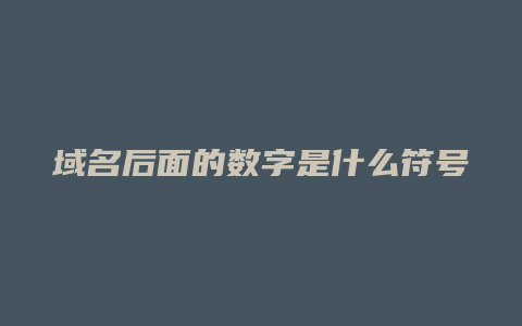 域名后面的数字是什么符号