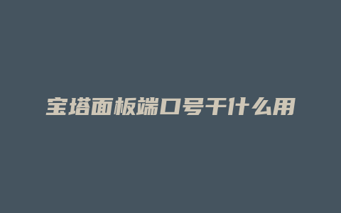 宝塔面板端口号干什么用