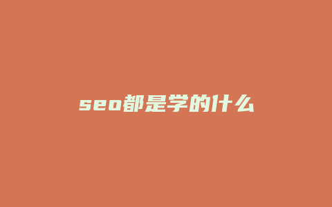 seo都是学的什么