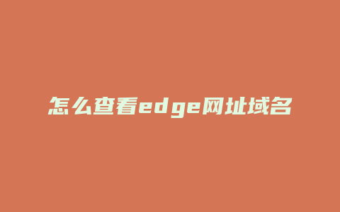 怎么查看edge网址域名