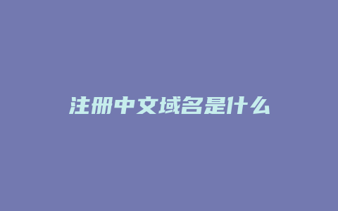 注册中文域名是什么