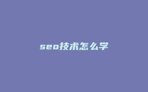 seo技术怎么学