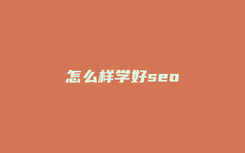 怎么样学好seo