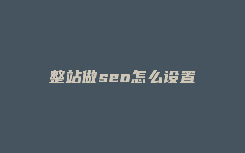 整站做seo怎么设置