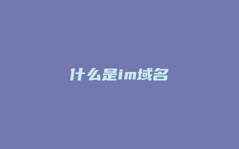 什么是im域名