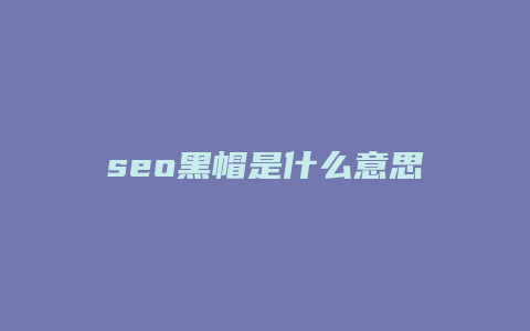 seo黑帽是什么意思