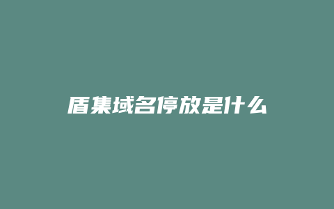 盾集域名停放是什么