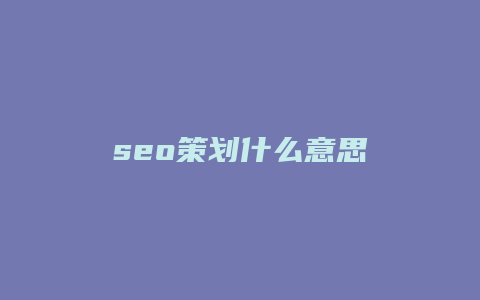 seo策划什么意思