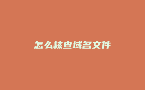 怎么核查域名文件