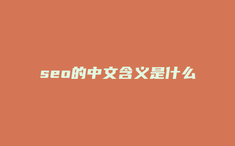 seo的中文含义是什么