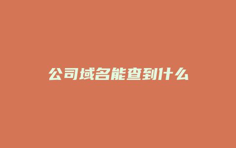 公司域名能查到什么