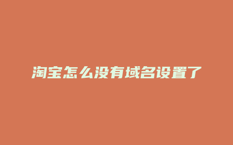 淘宝怎么没有域名设置了