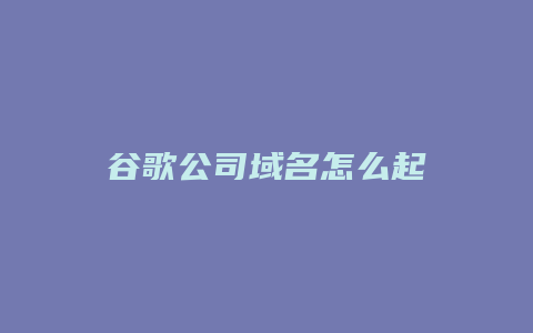 谷歌公司域名怎么起