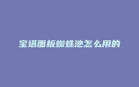 宝塔面板蜘蛛池怎么用的