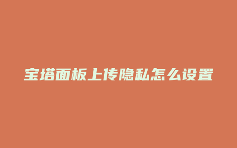 宝塔面板上传隐私怎么设置